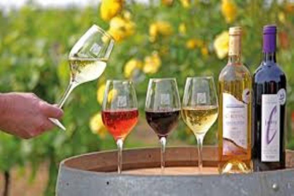 Le Mas De Doat, Gite De Charme 4 Etoiles Dans Le Triangle D Or Proche Gaillac Et Albi Senouillac Eksteriør bilde