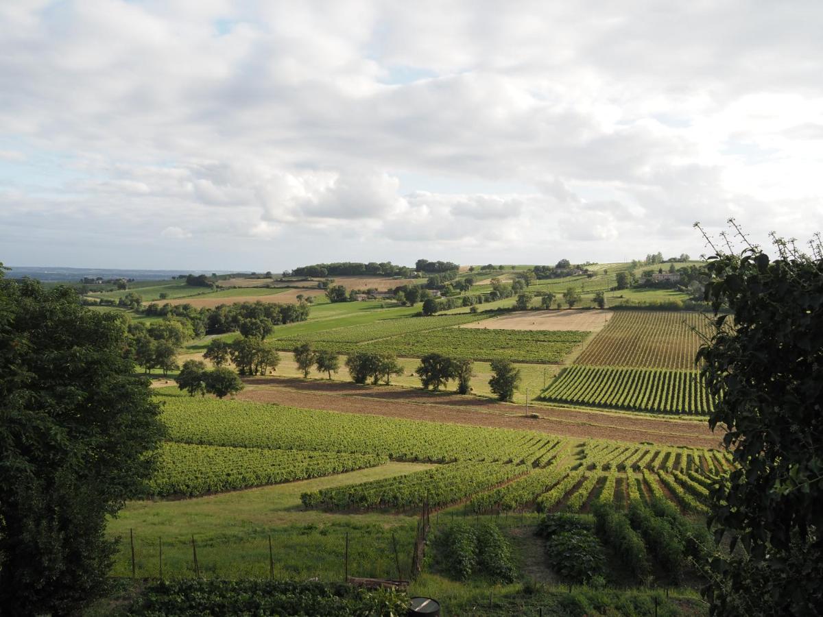 Le Mas De Doat, Gite De Charme 4 Etoiles Dans Le Triangle D Or Proche Gaillac Et Albi Senouillac Eksteriør bilde